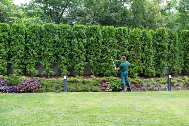 Best Lawn Watering Services  in Gun Barrel City, TX